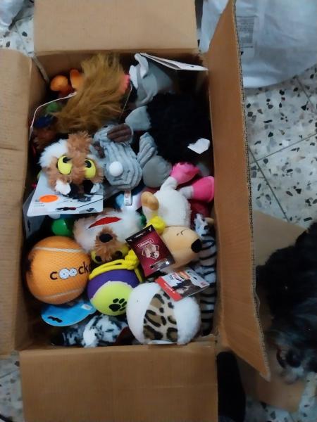 Lagerräumung Hunde und Katzenzubehör