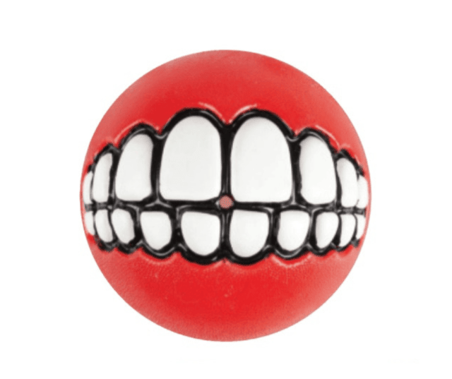 Hundespielzeug Ball, schwimmbar, befüllbar, zum Kauen, 5 Farben, 2 Größen