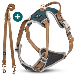Dog & Dress hochwertige Hundegeschirr Kollektion 