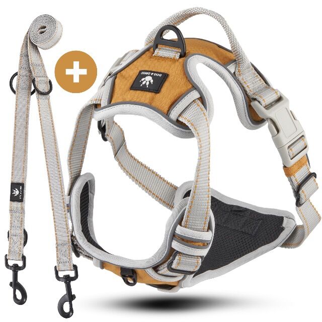 Dog & Dress hochwertige Hundegeschirr Kollektion 