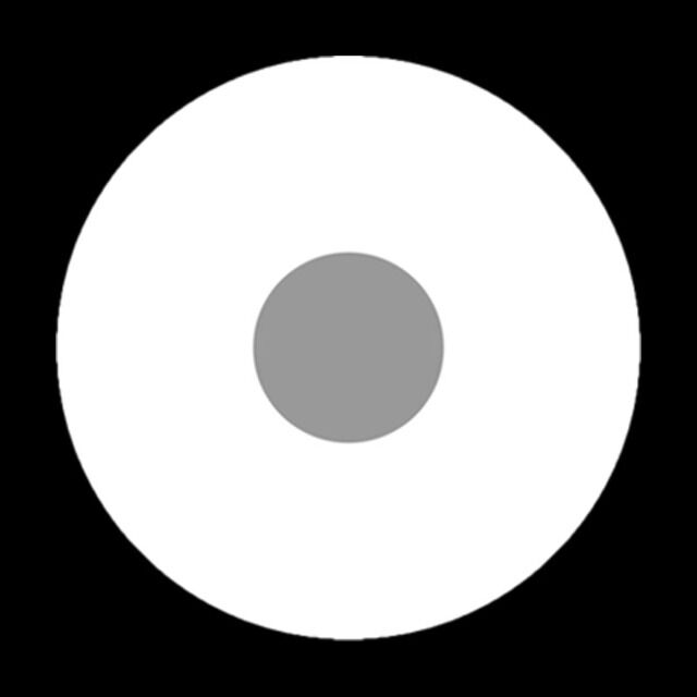 Kontaktlinse Sclera Blind White Visibal 6 Monate, 60% Deckkraft