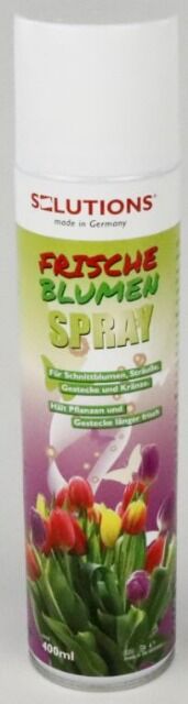 Frische Blumen Spray für Sträuße, Kränze, Gestecke etc.  