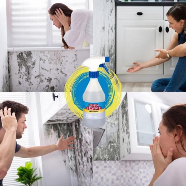 Schimmelprävention Spray Schimmelentferner