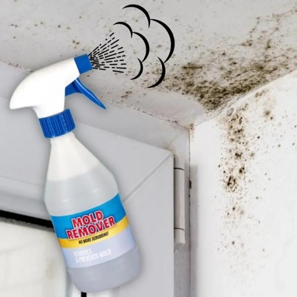 Schimmelprävention Spray Schimmelentferner