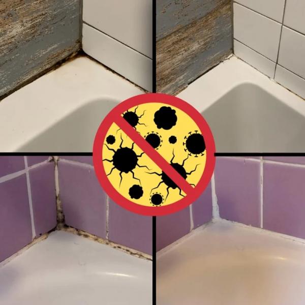 Schimmelprävention Spray Schimmelentferner