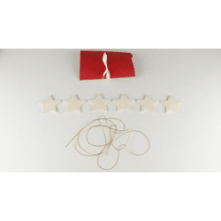 Scented Life 6er-Set Duftsterne in Geschenkbox Tannenduft