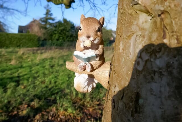 Solarlicht Eichhörnchen mit Buch