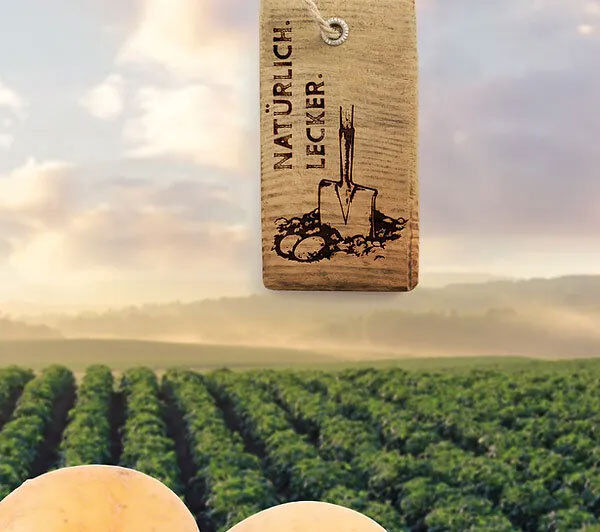 Kartoffeltragetaschen Papiertasche | Kartoffeltüte | Papiertüte | 2,5kg