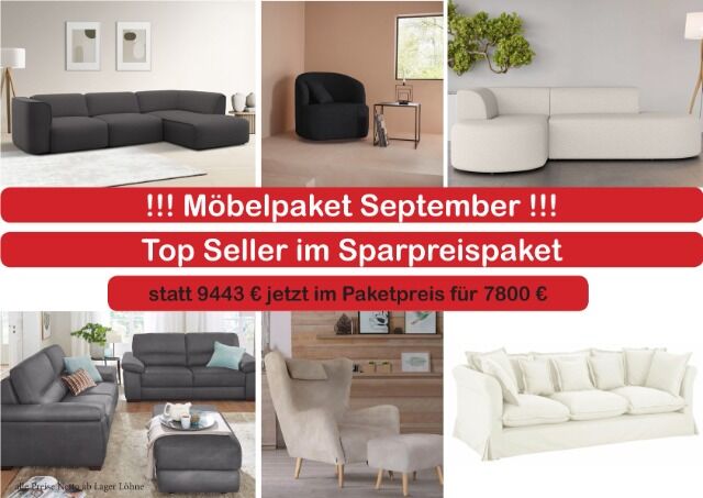 Top Seller im Möbel Sparpreispaket Sessel Sofas Ecksofas Sofa Garnituren