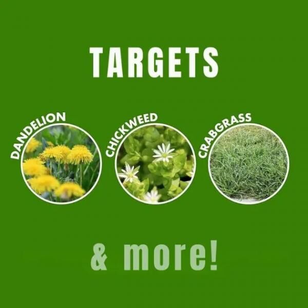 AntiWeeds - 100% natürlicher Unkrautwuchshemmer