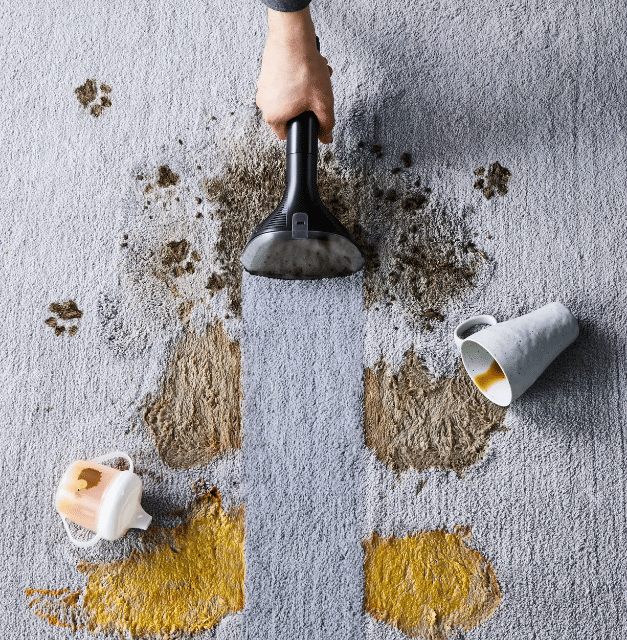 Rowenta Reinigungslösung 1L – Textilreiniger gegen Tierflecken – A-Ware