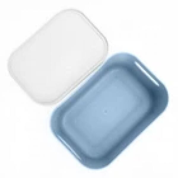 Aufbewahrungsbox mit Deckel – 21 Liter „Alythia Series Blue