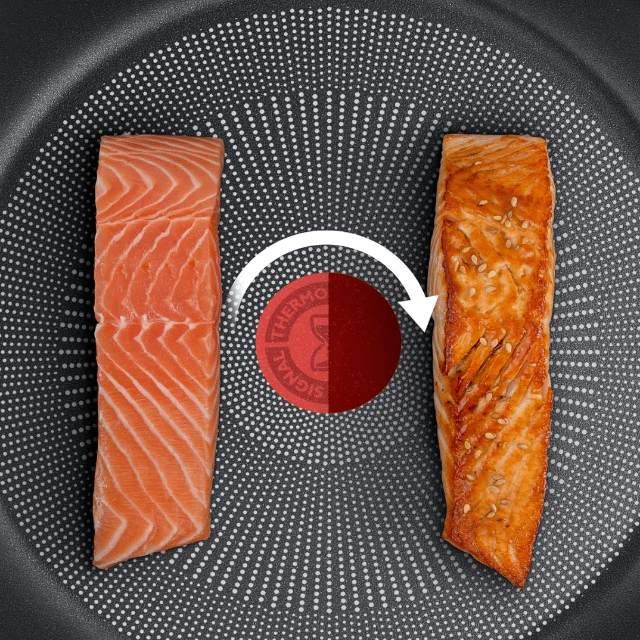 Tefal – 20 cm Induktion Bratpfanne – Antihaft, kompakt, stapelbar – A-Ware