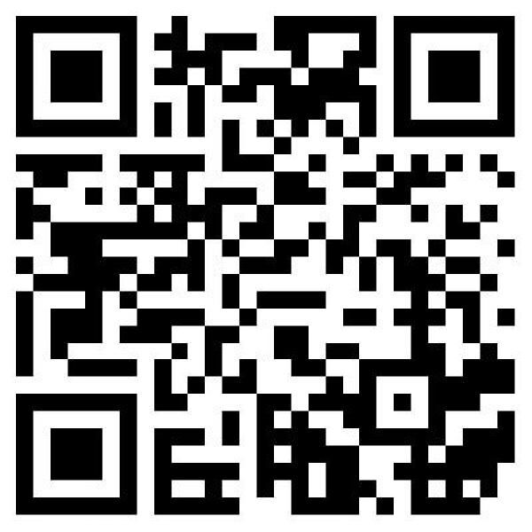 Attraction 66-Schuss Batterie Riakeo Feuerwerk