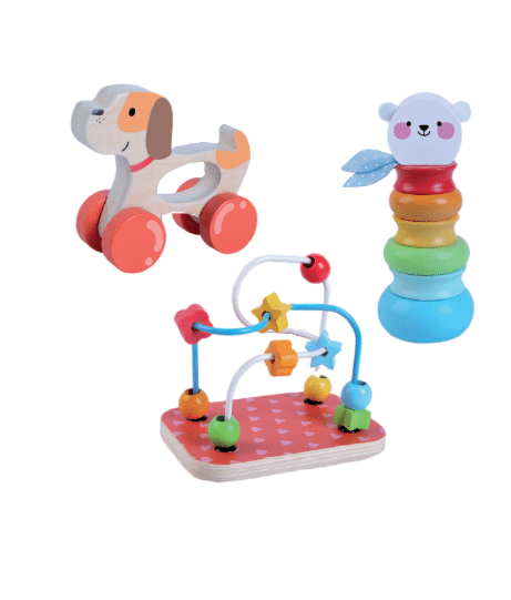 Wooden toys playset 