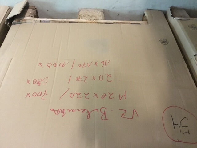 Bolzenanker Blitzanker Durchsteckanker Ankerbolzen verzinkt Palette 54