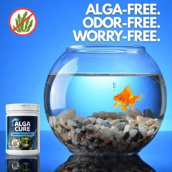 Aquarienreiniger AlgaCure