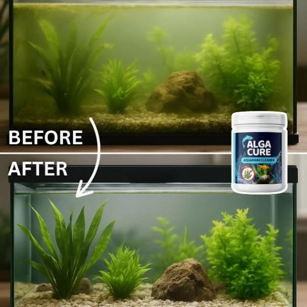 Aquarienreiniger AlgaCure