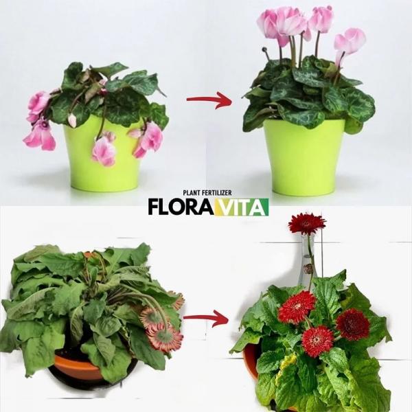 Pflanzendünger Floravita