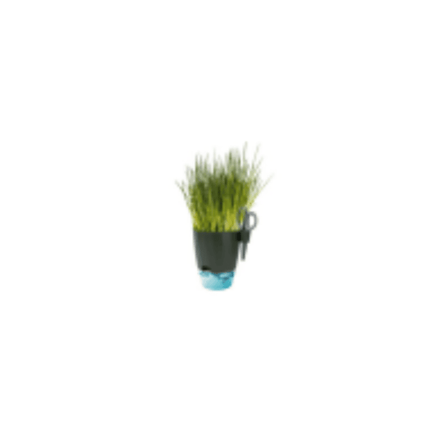 Kräuterset mit Schere Kräuterzucht Kräutertopf Kräutergarten Indoor Selbstbewässerndes Küchenkräuter Restposten