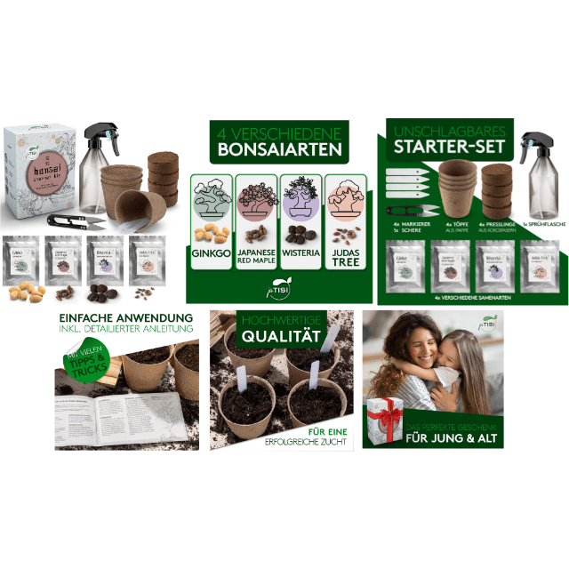 Bonsai-Starter Kit 