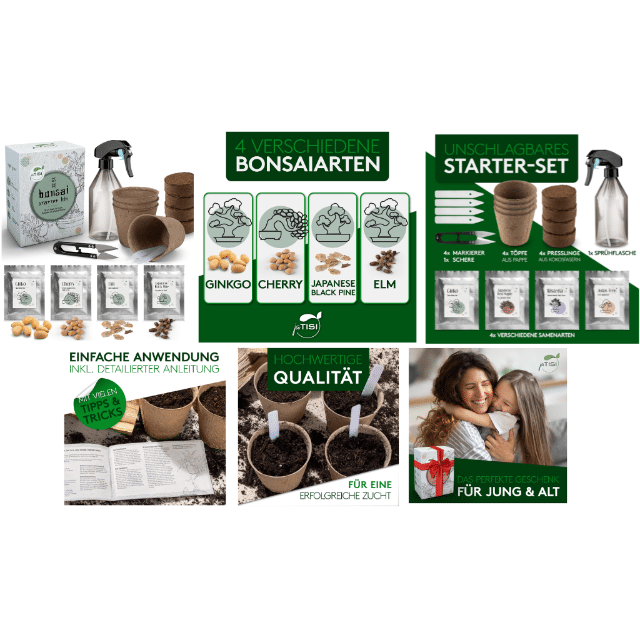 Bonsai-Starter Kit 