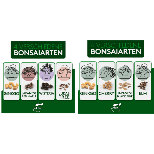 Bonsai-Starter Kit 