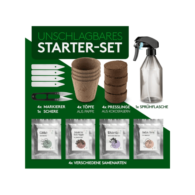 Bonsai-Starter Kit 
