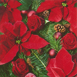 20 Servietten / Napins 33 x 33 cm - Poinsettia with Fir - Christmas