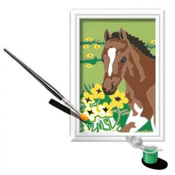 Fohlen - Malen nach Zahlen