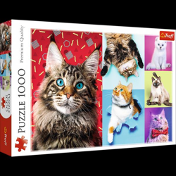 Glückliche Katzen - Puzzle 1000 Teile