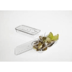 Krystal Party Dose 70cc, 10x5x2 h cm - Set mit 12 Stück.