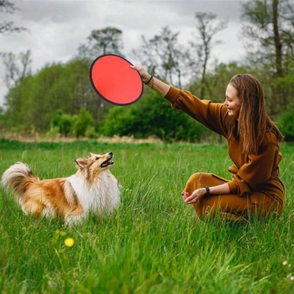 Frisbee faltbar weiß 25 cm