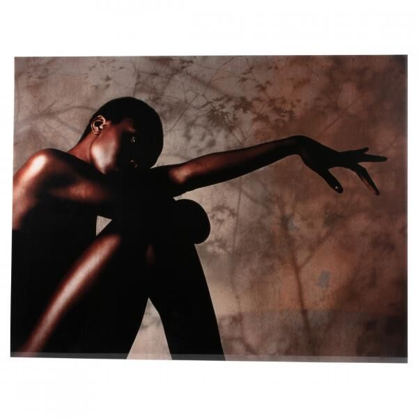 PTMD Glasmalerei Savanna von Monk limitierte Auflage 130 x 100 cm