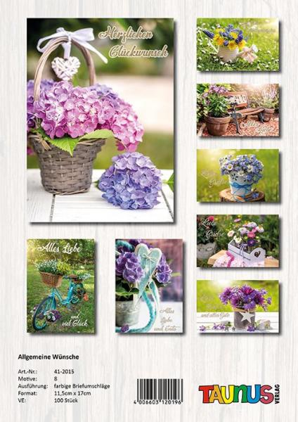 Allgemeine W&uuml;nsche Gru&szlig;karten - 100 St&uuml;ck - 6 Motive