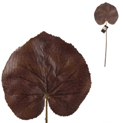 Countryfield Kunst Blatt Monstera Jay L 51 cm