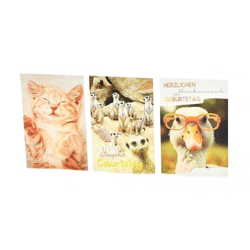 Birthday card Animal birthday greetings - 100 pieces - 3 motifs - 11.5 x 17.5 cm