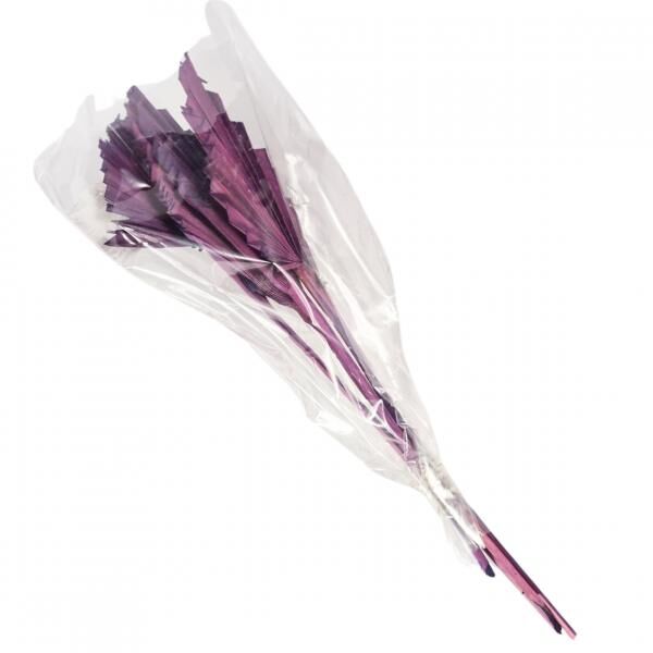 Bündel getrockneter Palmblätter Speer lila 35 cm 4 Stück