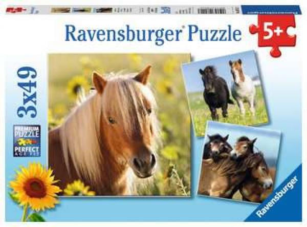 Liebe Pferde - Puzzle - 3x49 Teile