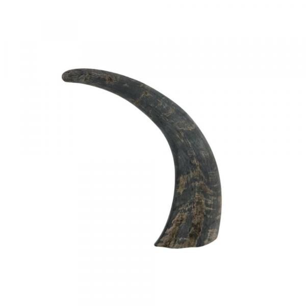 Hornbüffel 25 cm