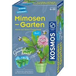Kosmos 657802 - Mimosa garden