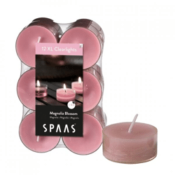 (R) Spaas maxi duftende Teelichter Magnolia Blossom 6 cm Satz von 12