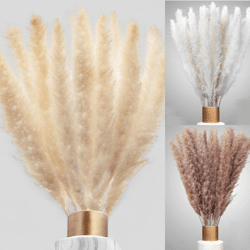 100% Natürliches Pampasgras Dekogras beige cremeweiß 150Stk Perfekt für TikTok Shop Ware