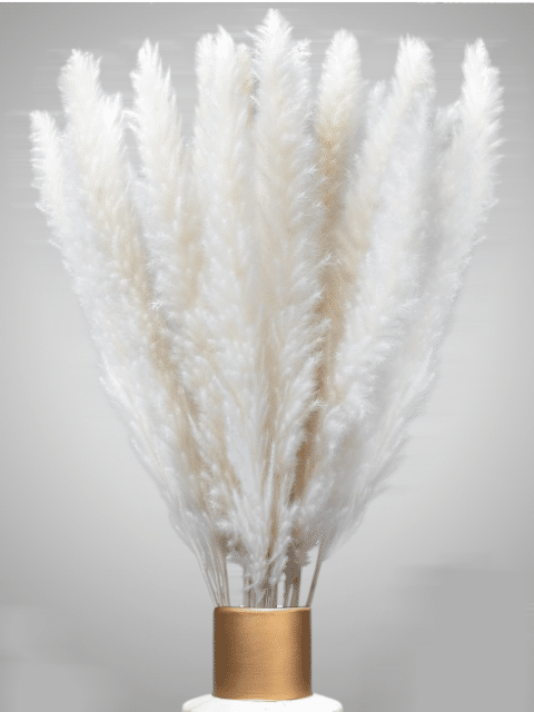 100% Natürliches Pampasgras Dekogras beige cremeweiß 150Stk Perfekt für TikTok Shop Ware