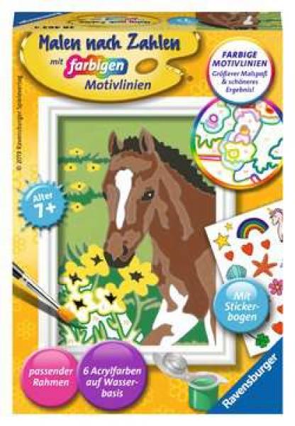 Fohlen - Malen nach Zahlen