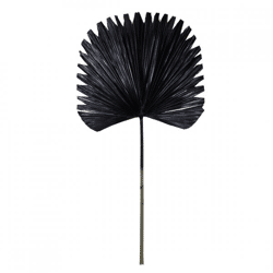 Licht und Leben Blatt Plantae schwarz 91 cm