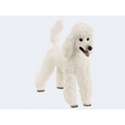 Schleich 13917 - Farm poodle