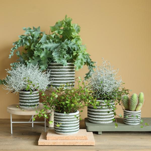 Blumentopf Serie Raf grün 7,5 cm