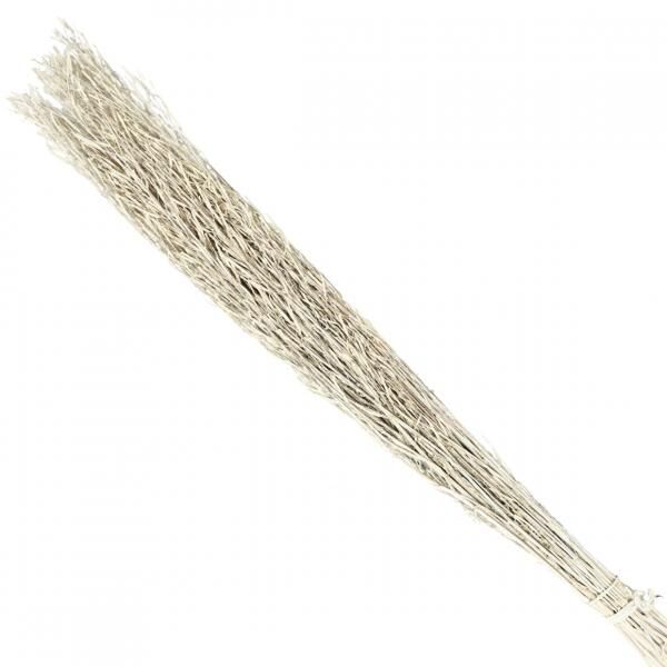 Bündel getrocknetes Sarasgras weiß 110 cm