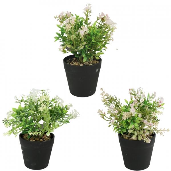 Künstliche Pflanze im Topf 18 cm 3 Stück sortiert